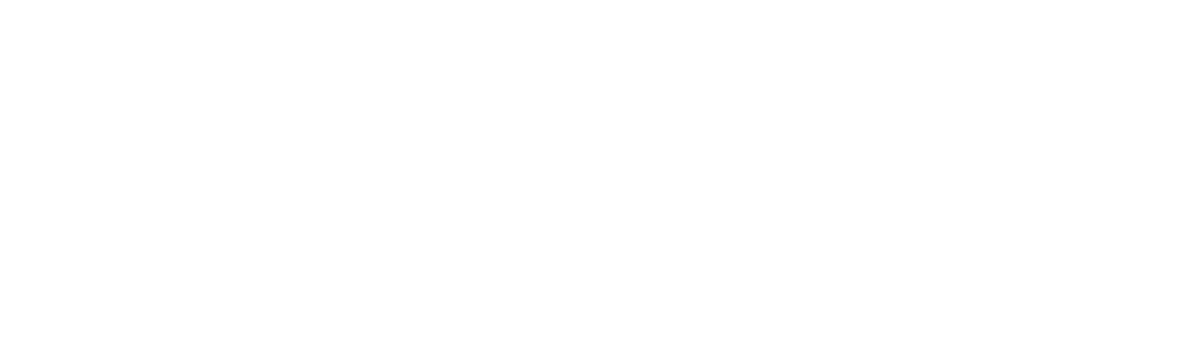 新欣诚 XINXINCHENG